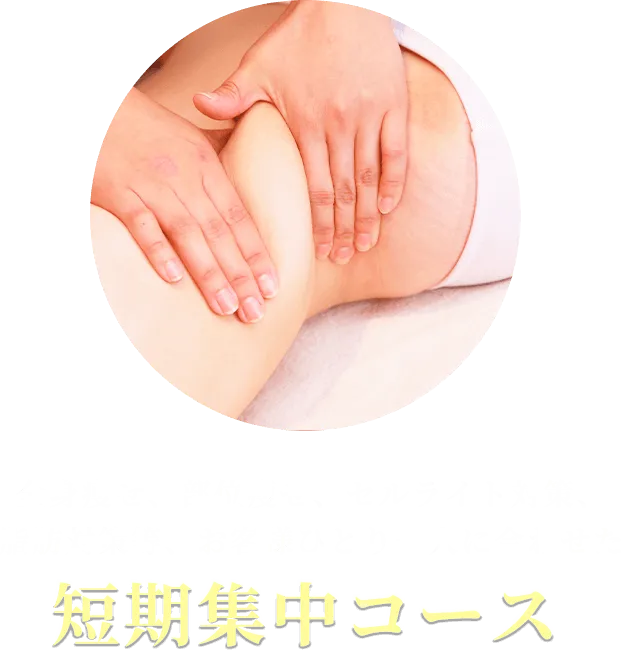 短期集中型コース